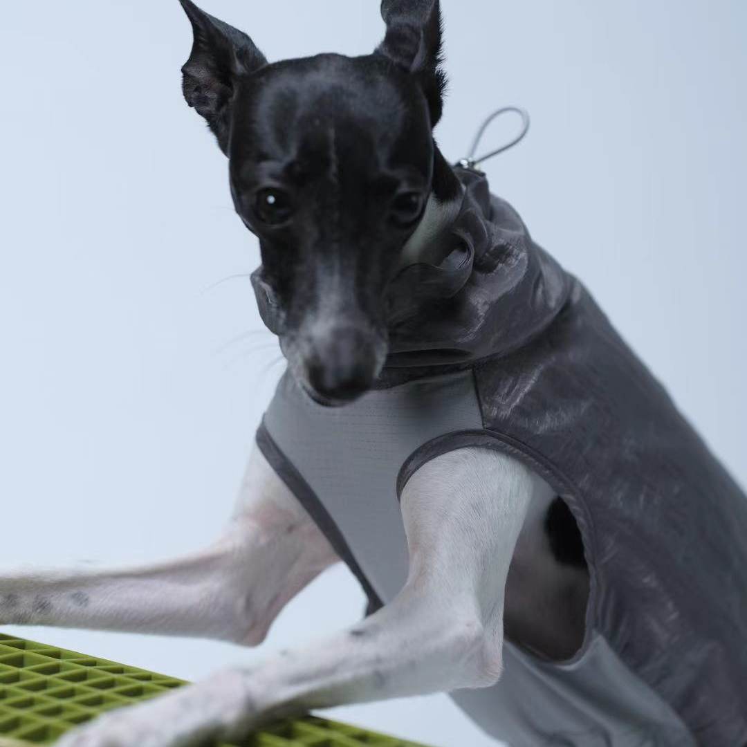 Urban Utility Dog Vest
