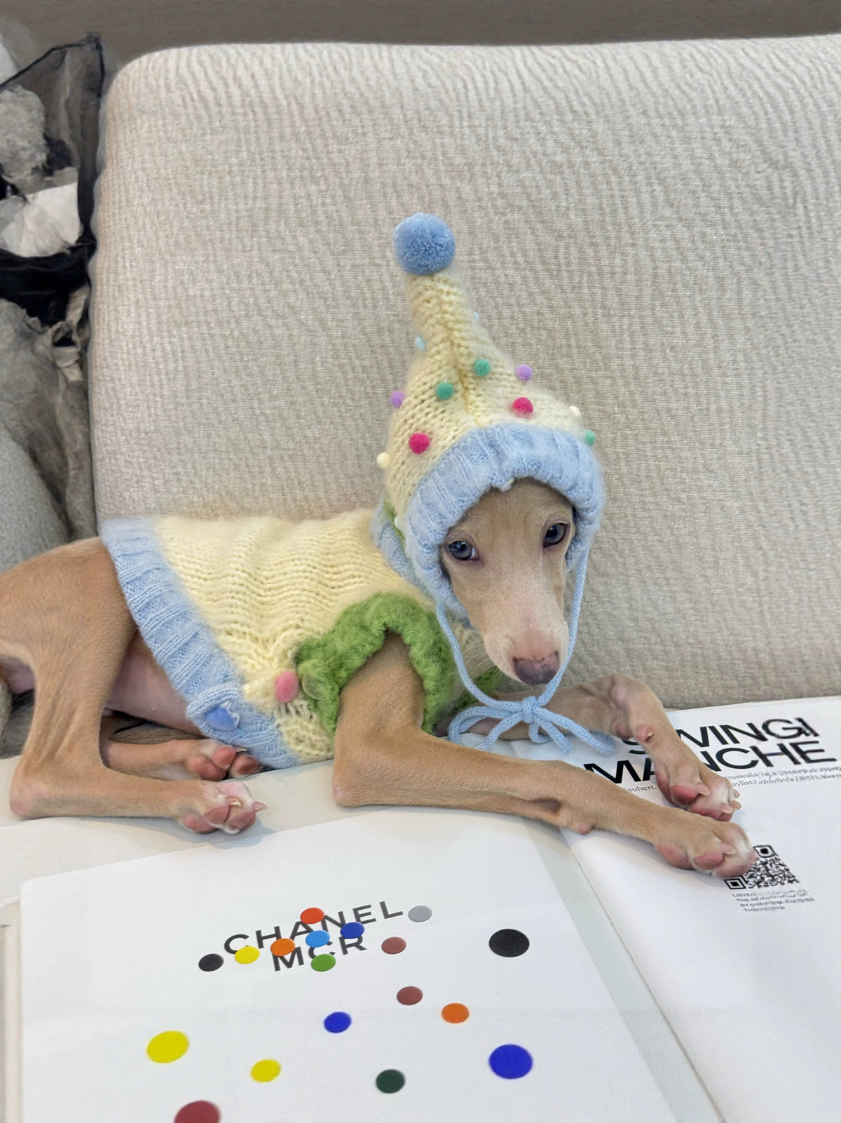 Wool Dog Vest & Pom Pom Hat