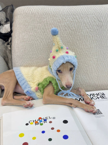 Wool Dog Vest & Pom Pom Hat