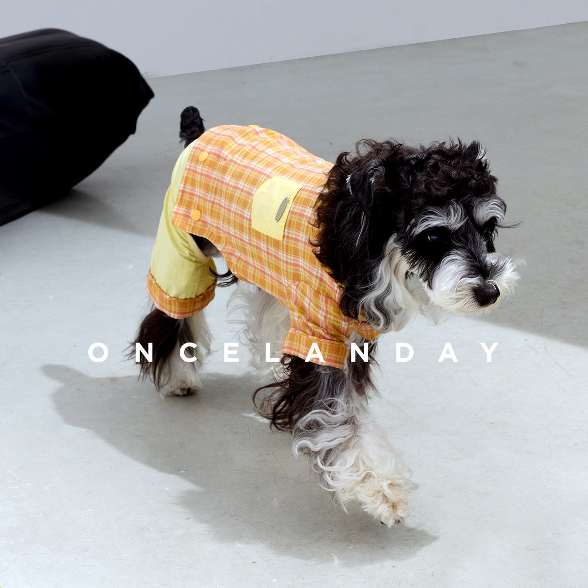 Matching Dog Pajama Set for Pet Parents