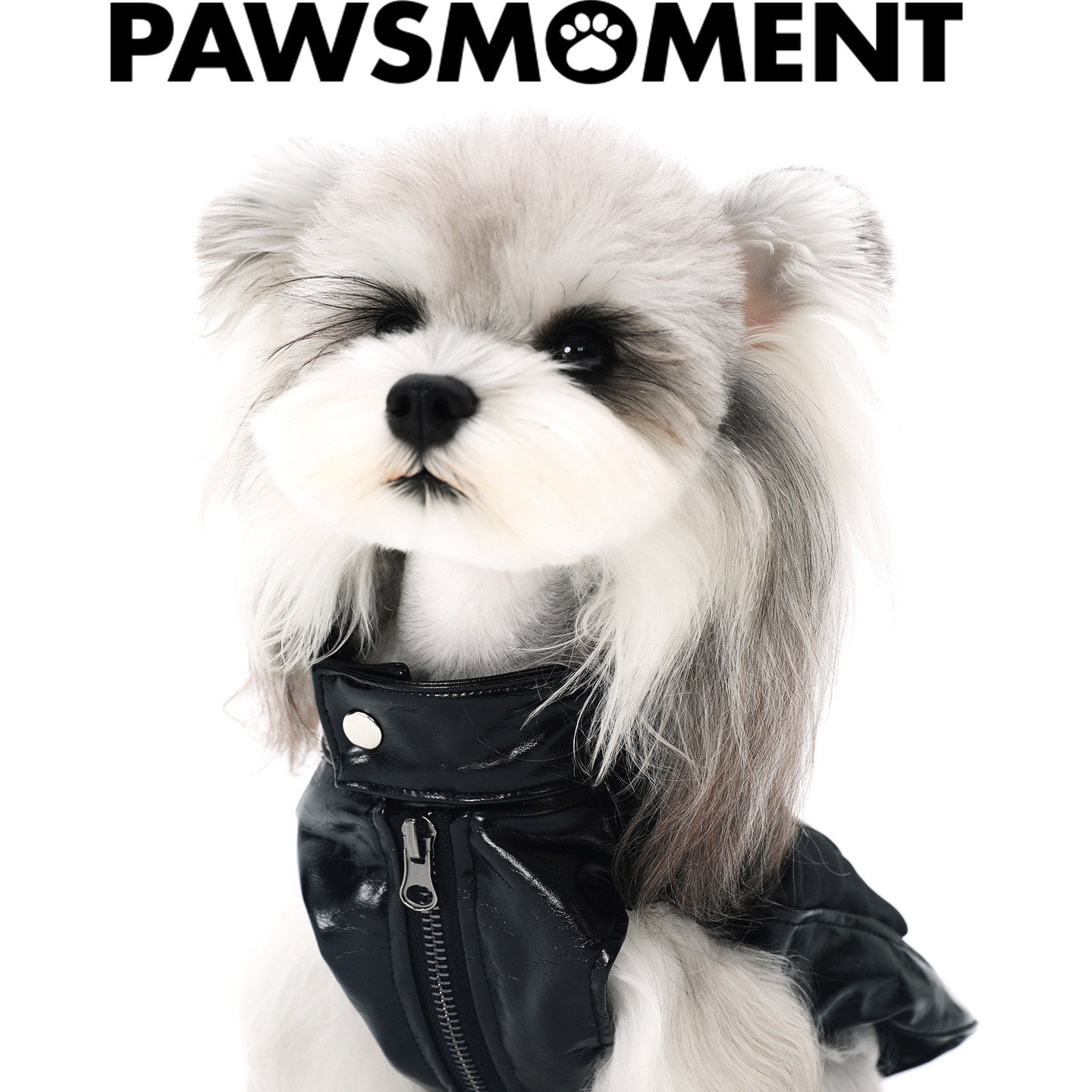 Small Dog Biker Style Leather Jacket