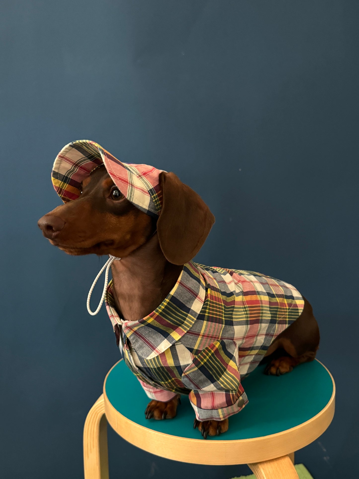 POXFFEE Plaid Shirt or Hat for Small Dogs