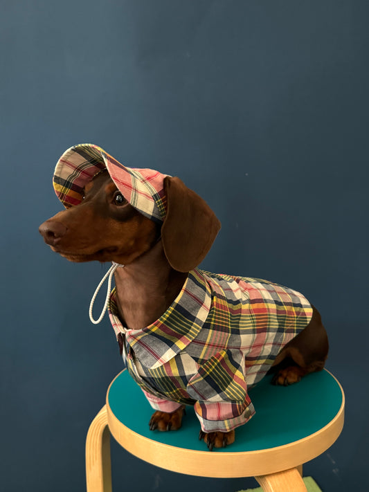 POXFFEE Plaid Shirt or Hat for Small Dogs