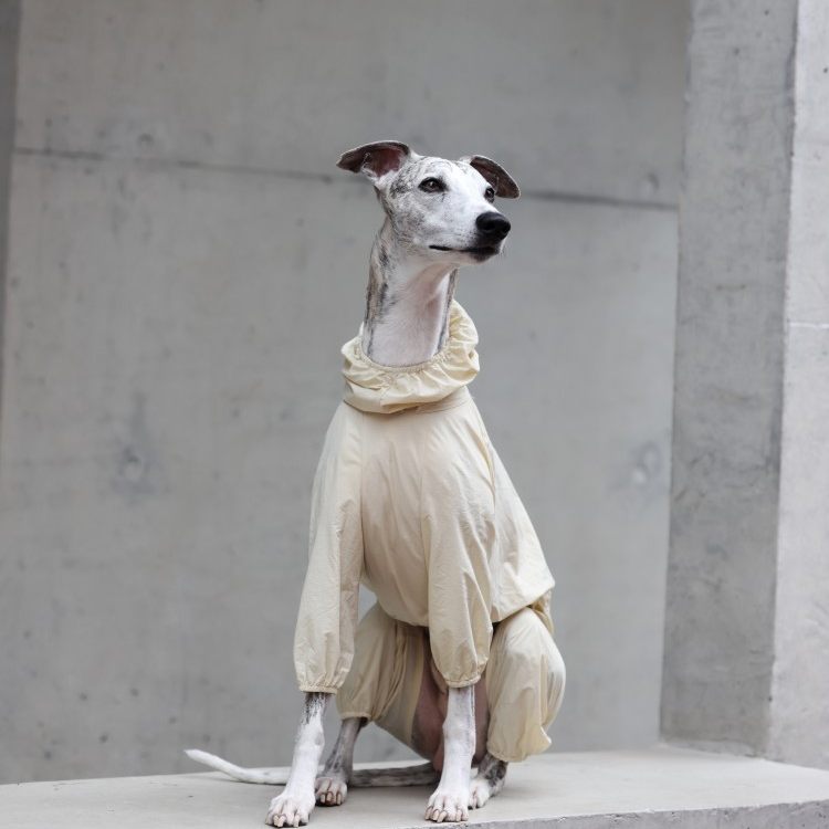 UPF 50 Lightweight Breathable Dog Sun Shirt