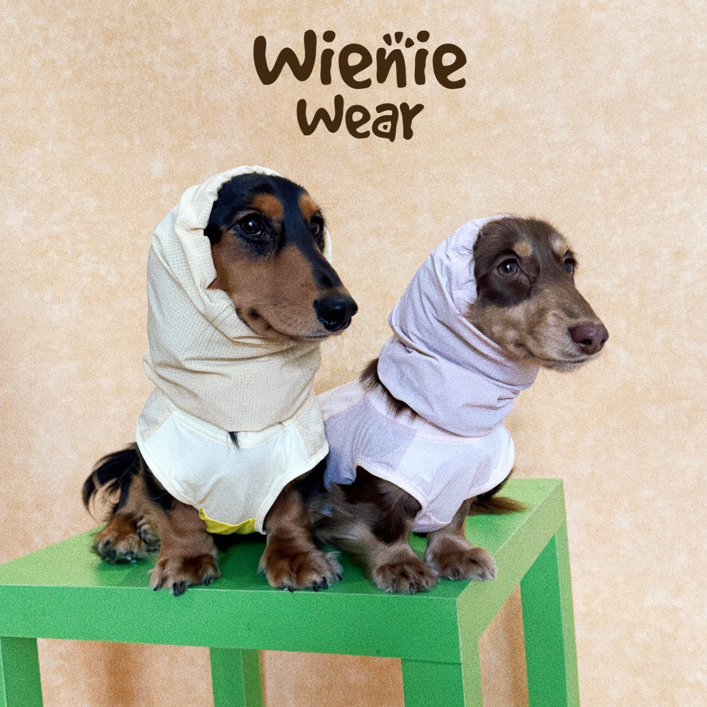 UPF50+ Cooling Dog Vest