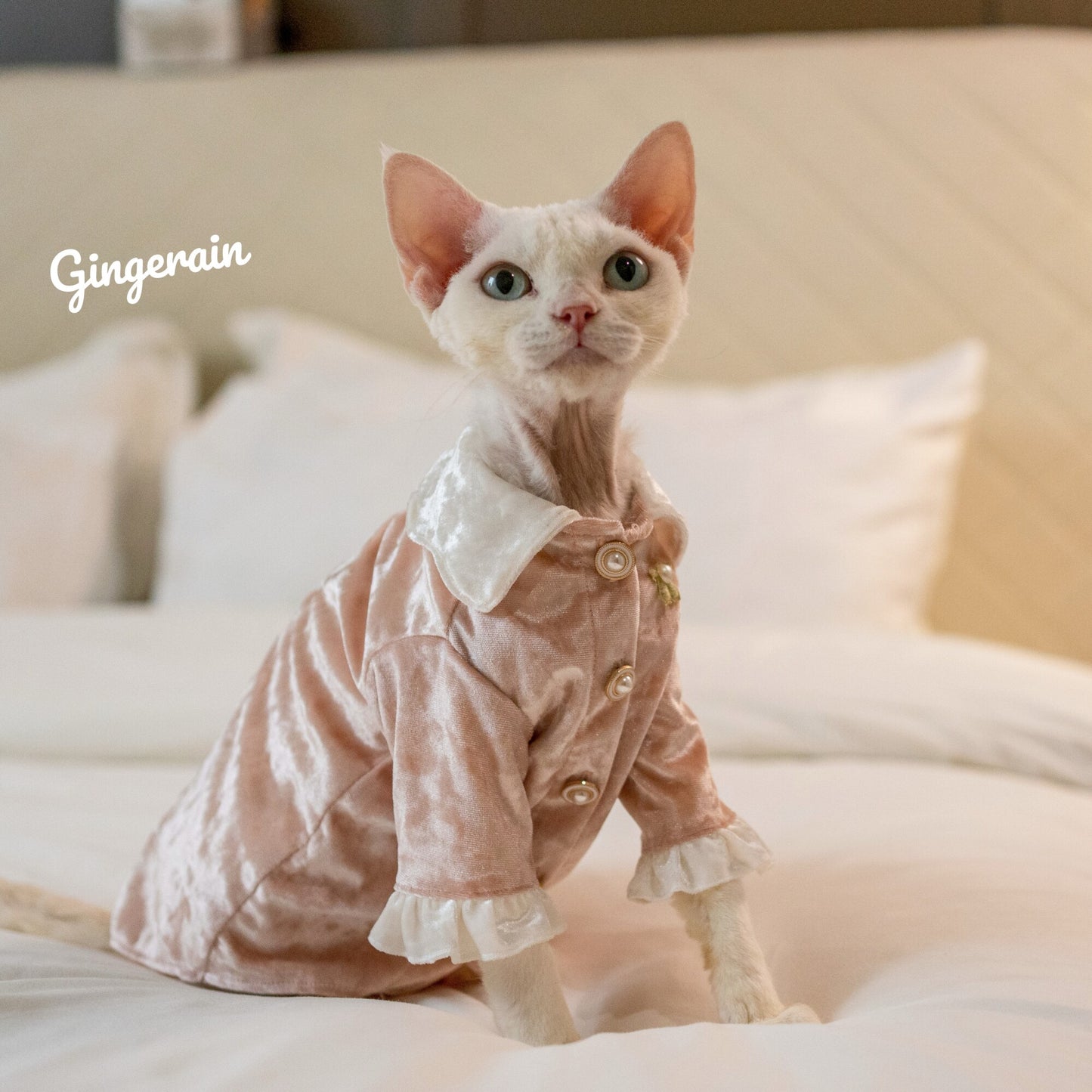 Velvet Thick Matching Pajamas for Owners & Cats