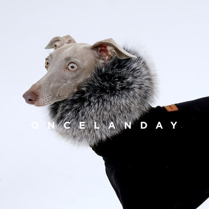 Anti-Static Fleece Dog Shirt & Neck Warmer