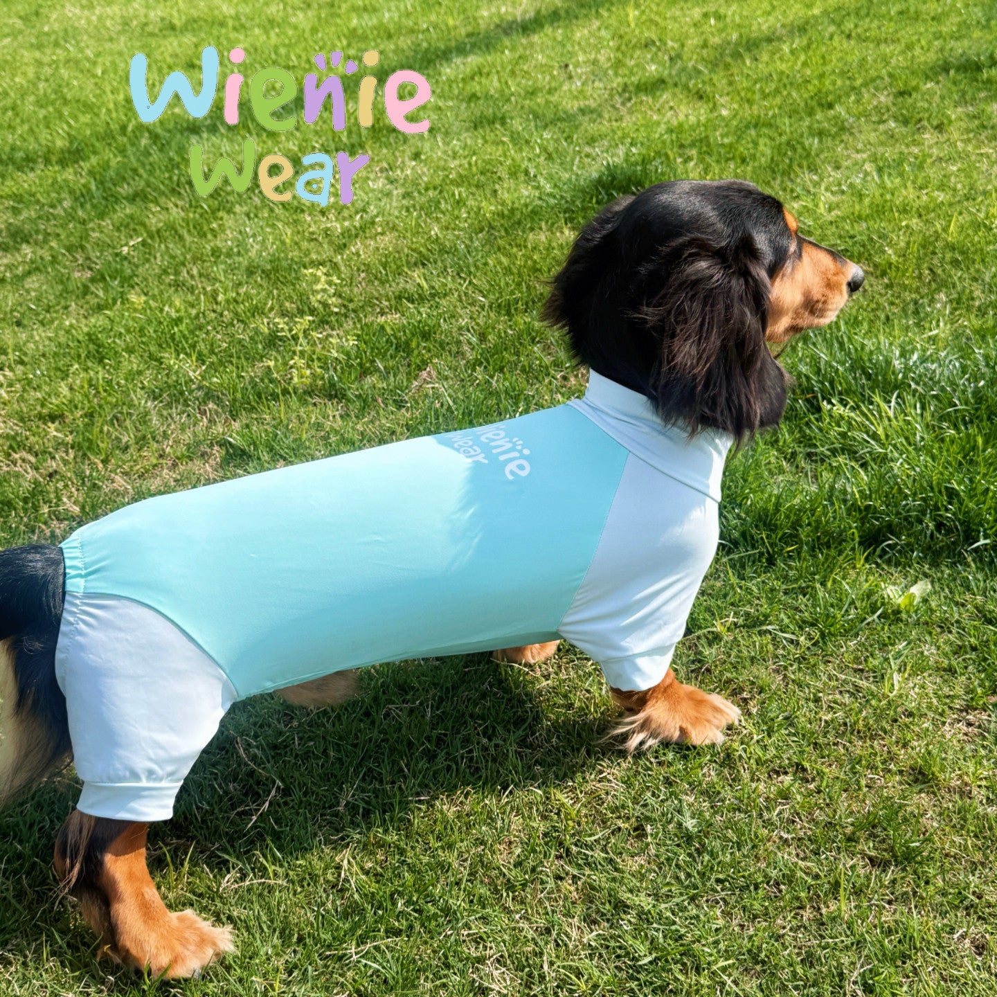 UPF50+ Cooling Dog Jumpsuit