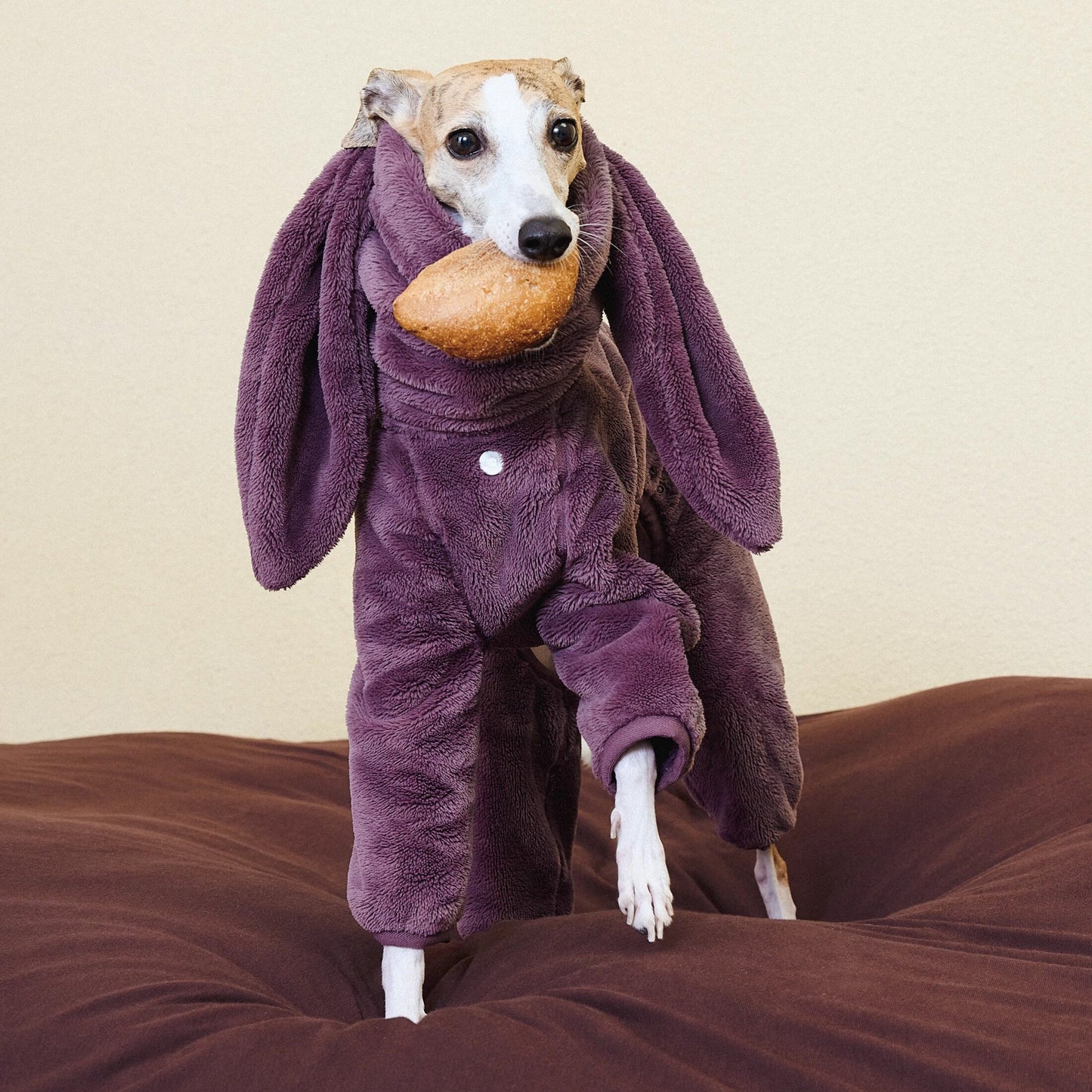 Rabbit Ear Fleece Dog Jumpsuit Hoodie
