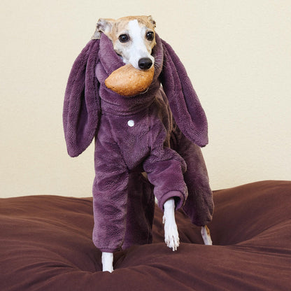Rabbit Ear Fleece Dog Jumpsuit Hoodie