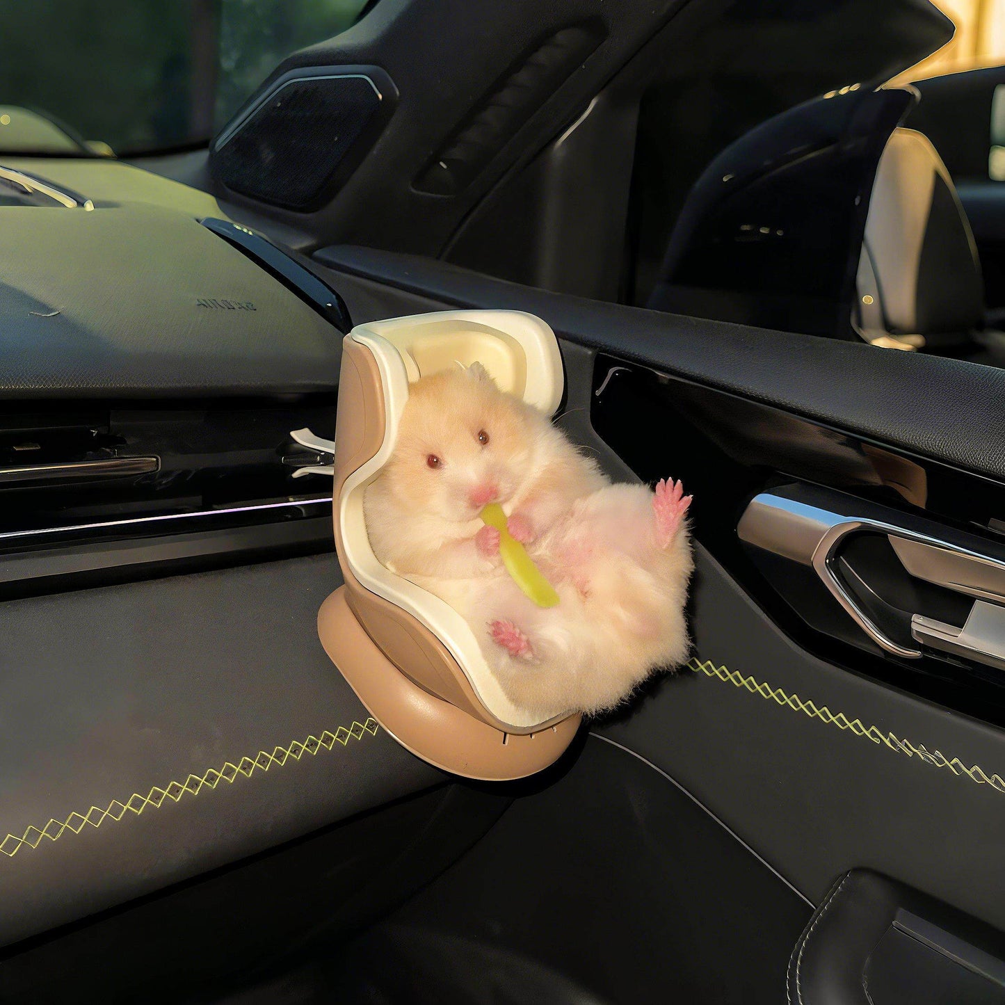 Parrot Car Seat Travel Perch