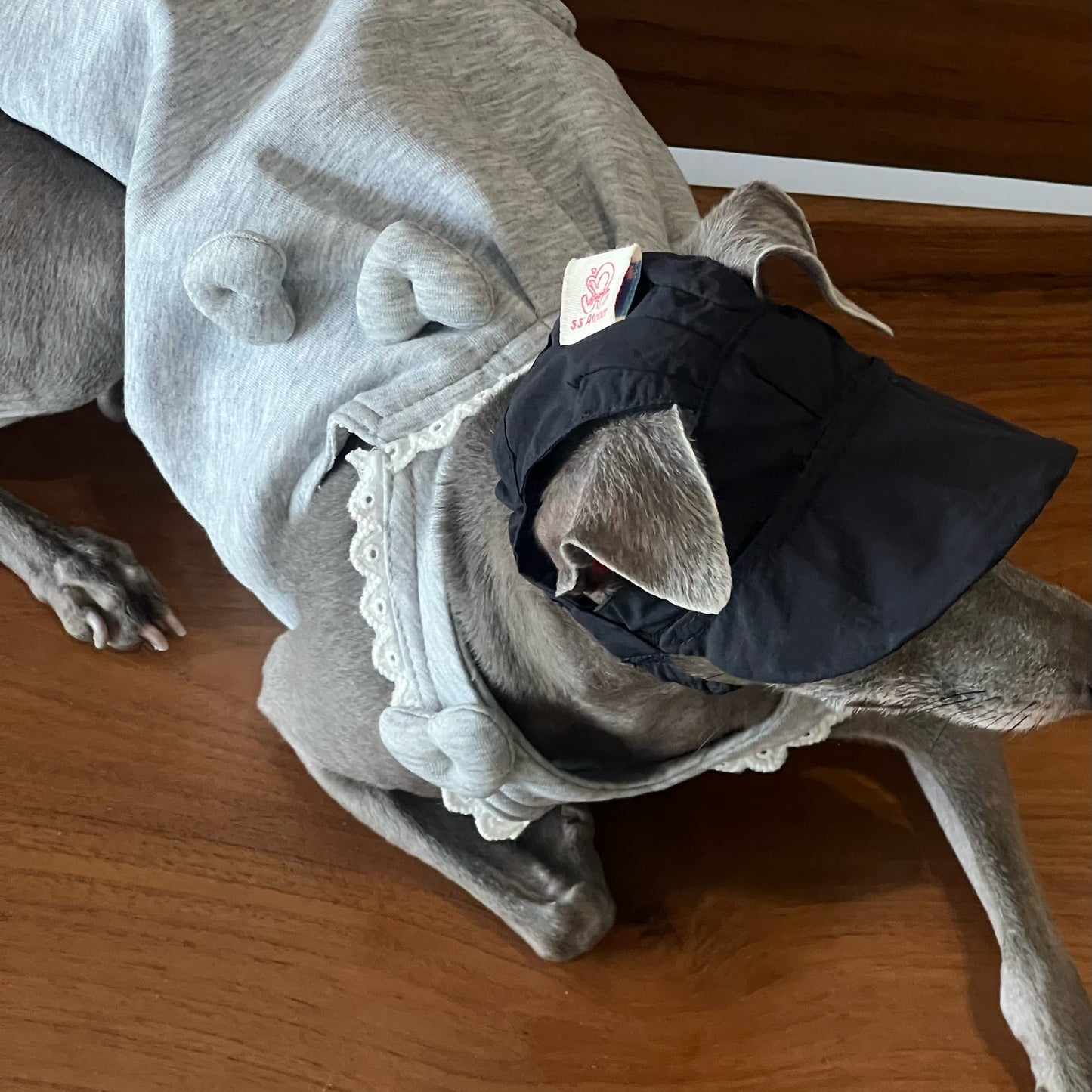 Snuggsoul Water Resistant Dog Hat