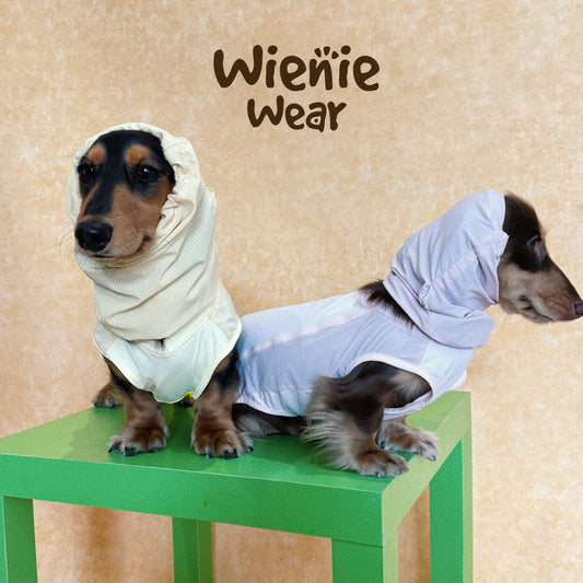 UPF50+ Cooling Dog Vest