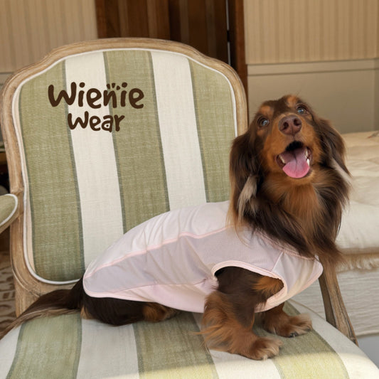 UPF50+ Cooling Dog Sun Vest