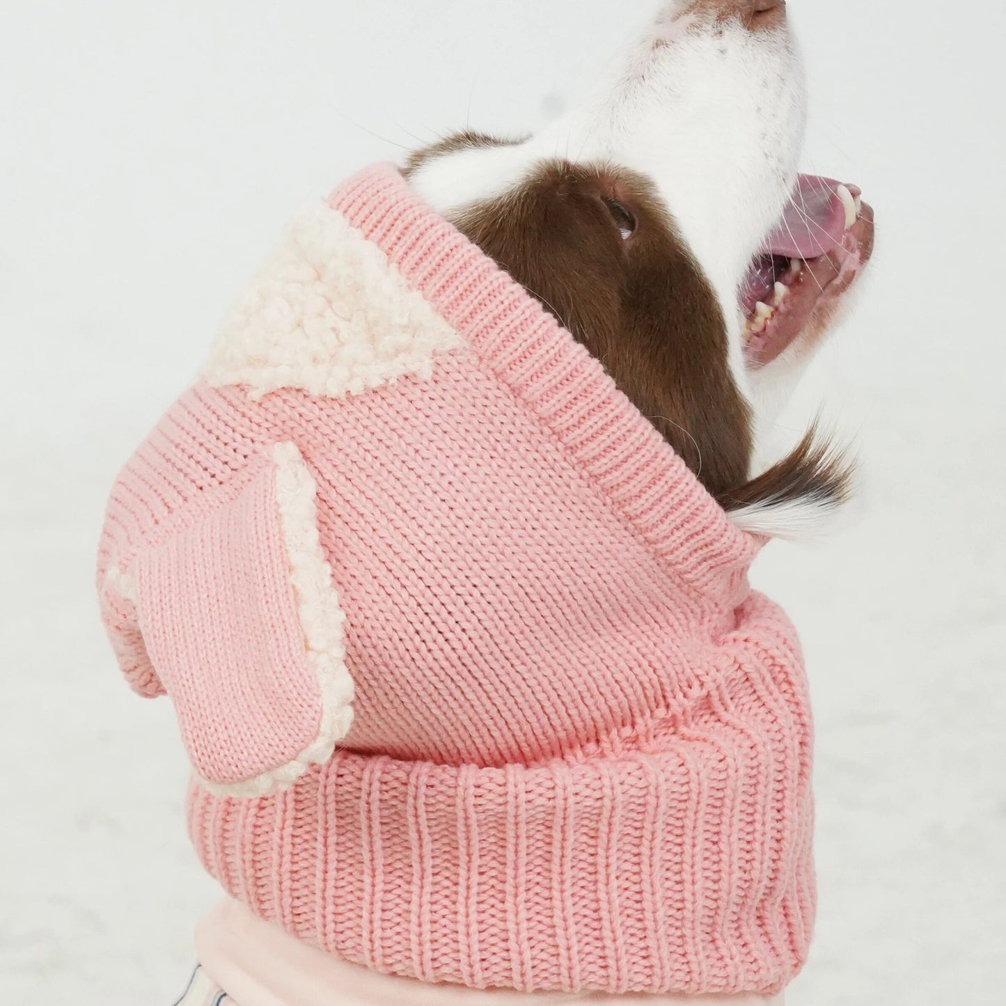 Warm Winter Dog Jumpsuit & Hat