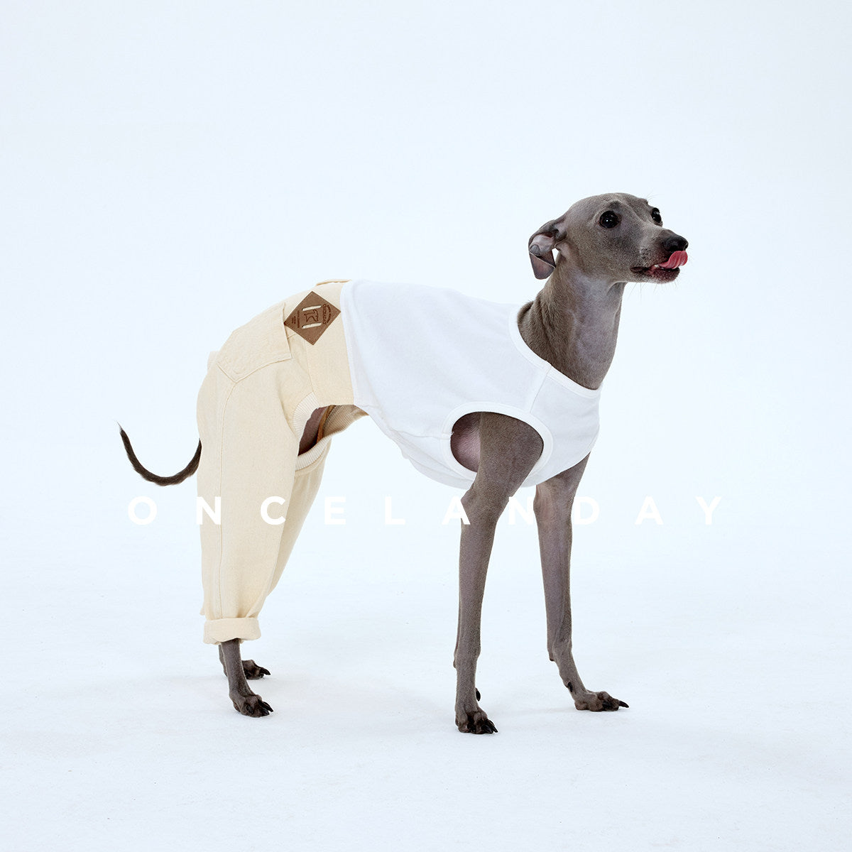 ONCELANDAY Fall Patchwork Washed Jeans for Whippets