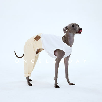 Pantalones Vaqueros Lavados con Retales para Whippets ONCELANDAY de Otoño