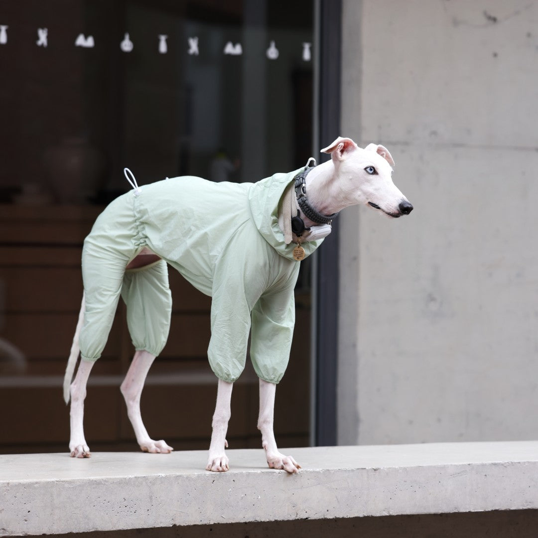 UPF 50 Lightweight Breathable Dog Sun Shirt