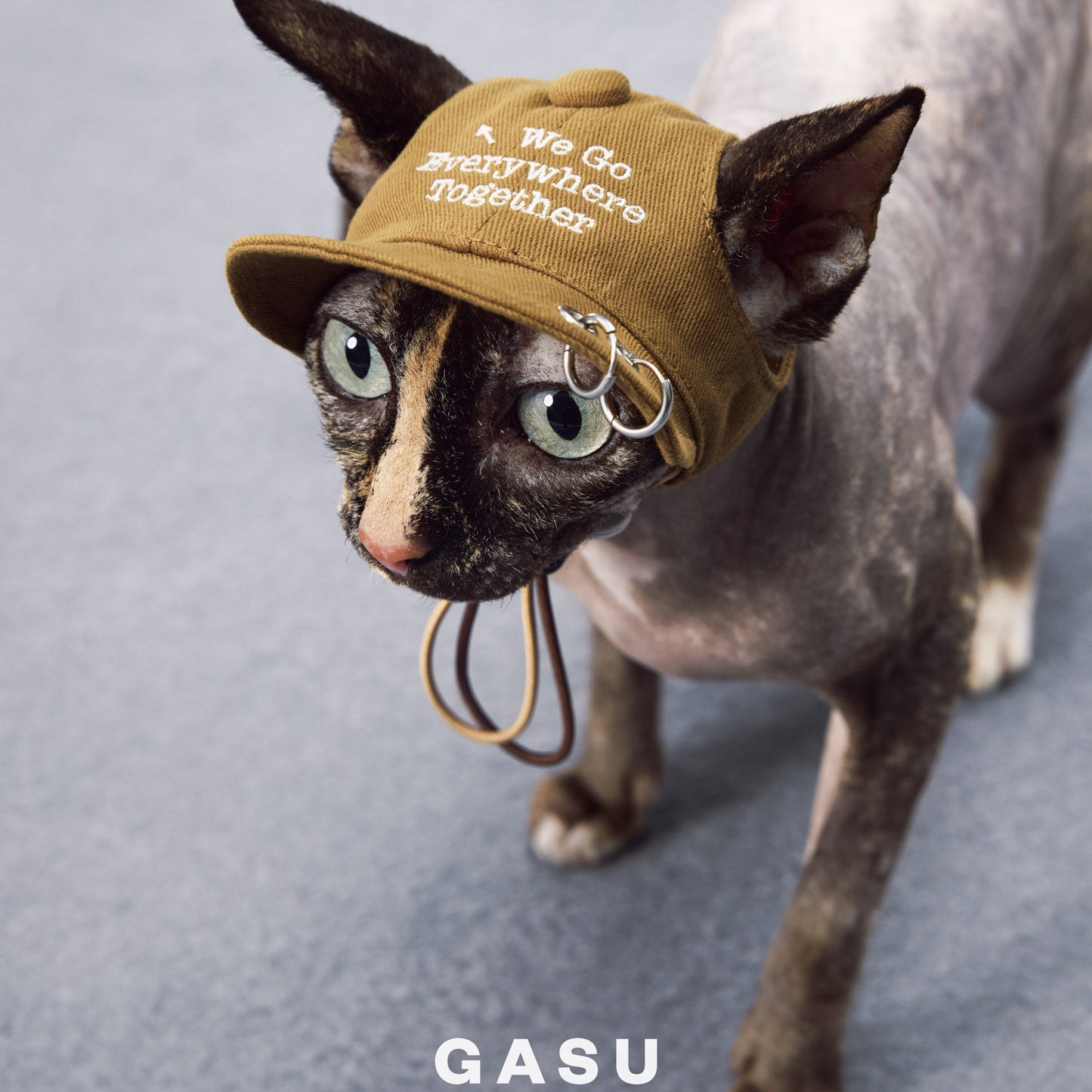 GASU®Moi Vintage Soft Baseball Cap for Dogs & Owners