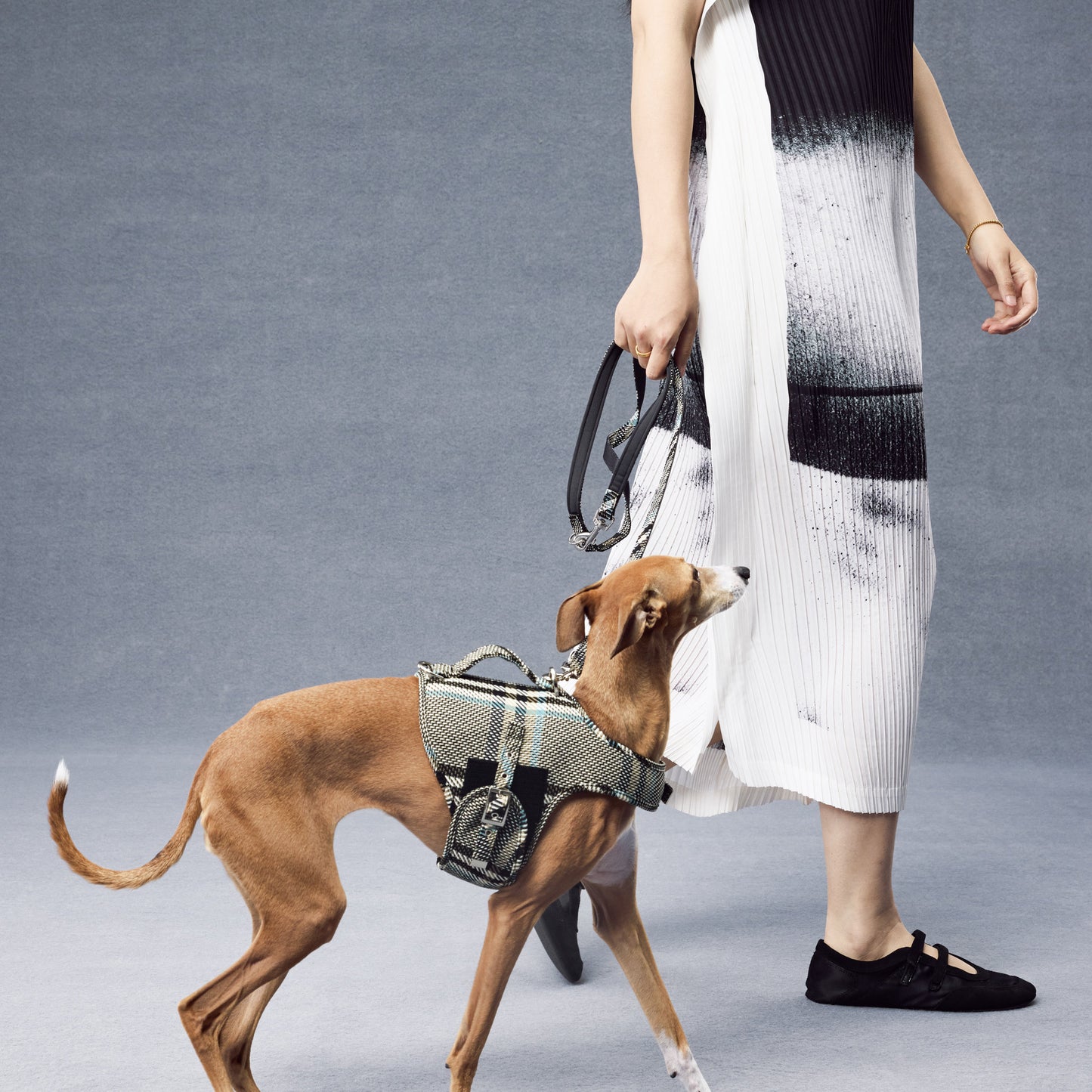 GASU Variété Italian Fabric Adjustable Dog Harness