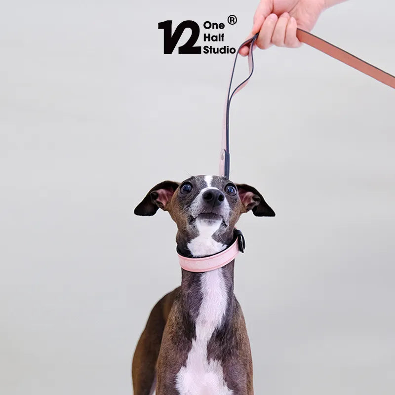 One Half Studio Waxed Leash / Poop Bag Holder