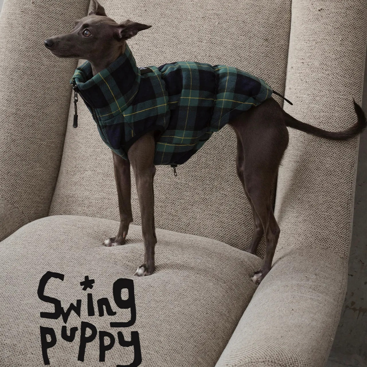 Green Plaid Dog Down Coat