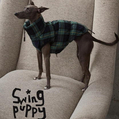 Green Plaid Dog Down Coat