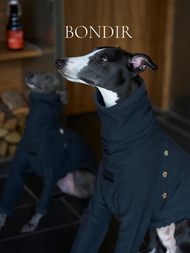 BONDIR Odyssey Blue Pet Jumpsuit（Pet）