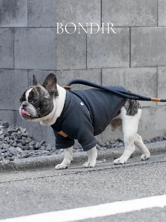 BONDIR Odyssey Blue Pet Jumpsuit（Pet）