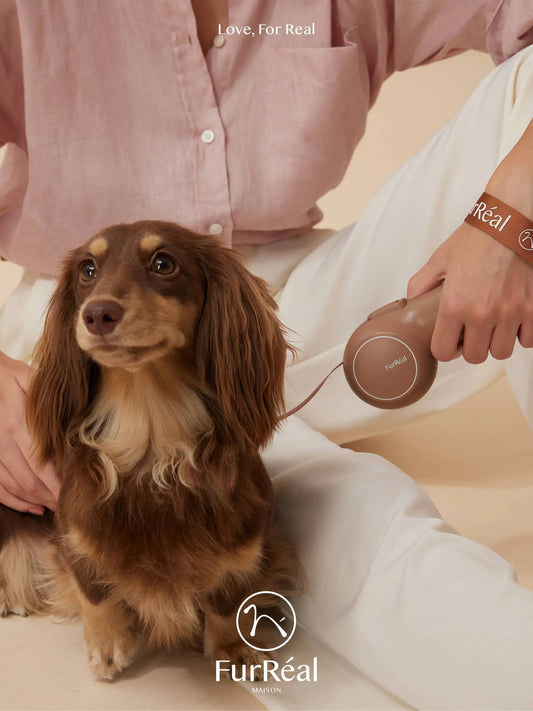 Chocolate Retractable Leash Lightweight