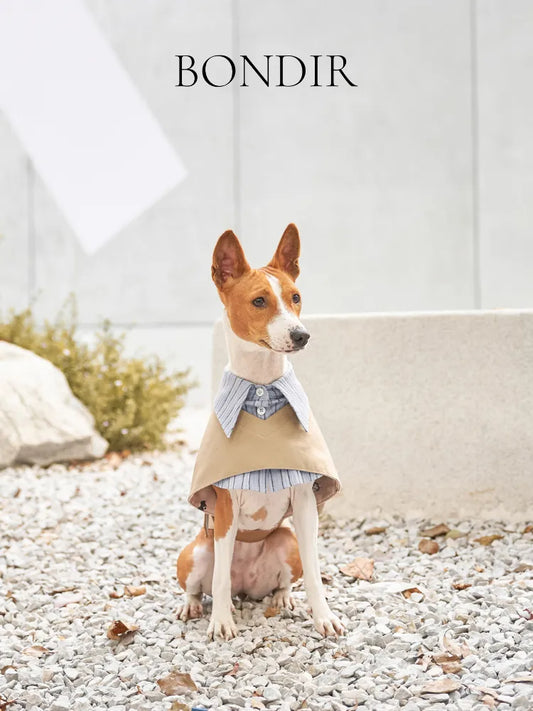 BONDIR Two-Piece Look Pet Trench Coat