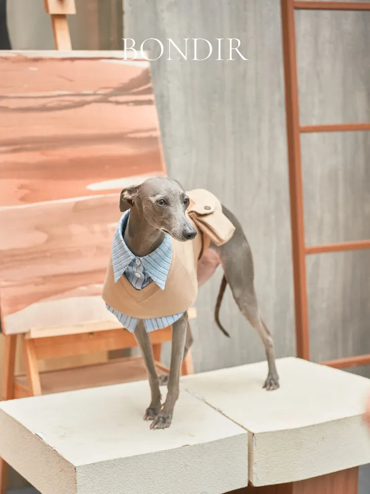 BONDIR Two-Piece Look Pet Trench Coat