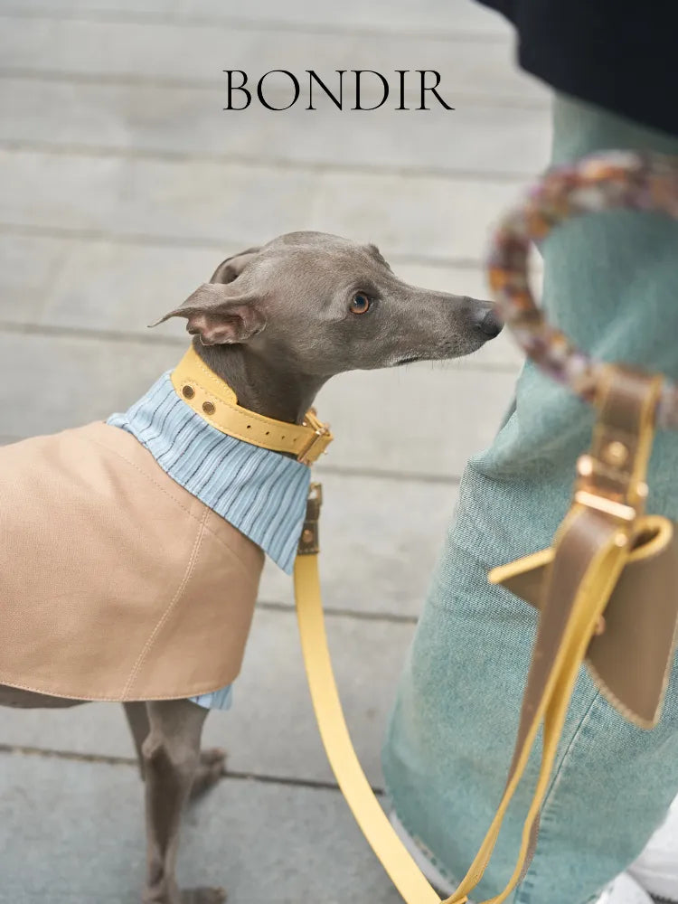BONDIR Two-Piece Look Pet Trench Coat