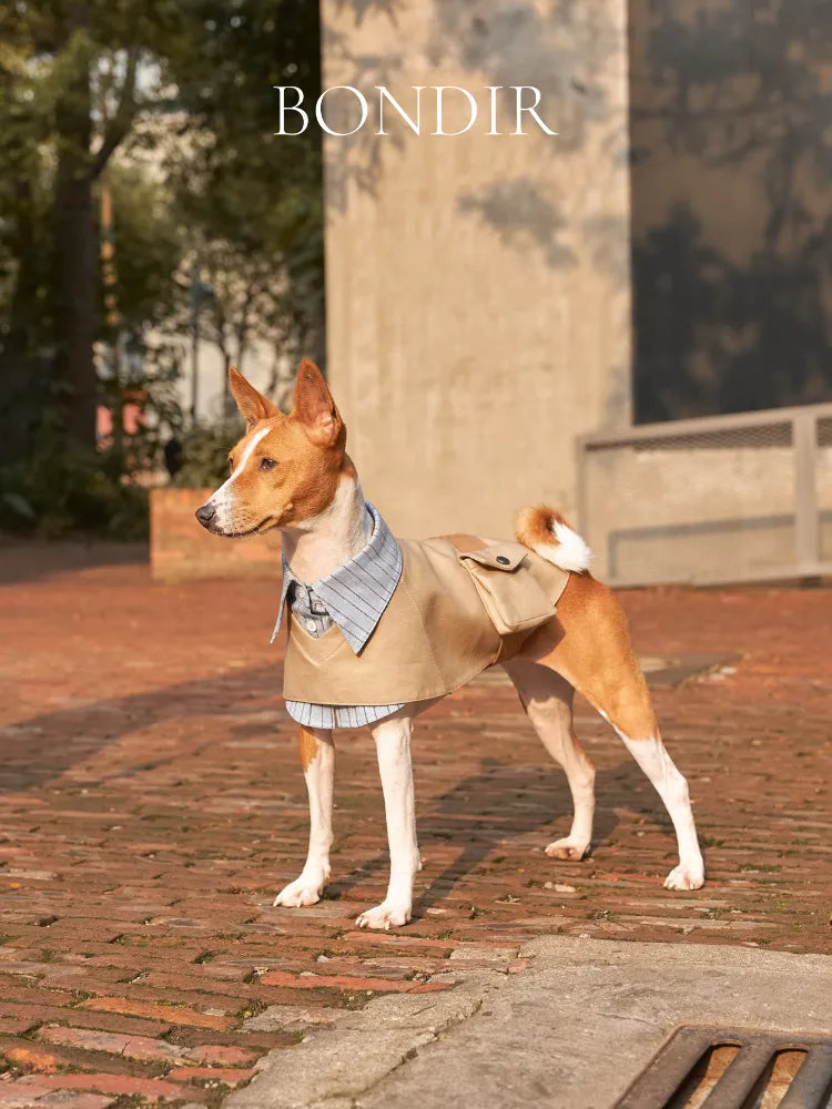BONDIR Two-Piece Look Pet Trench Coat