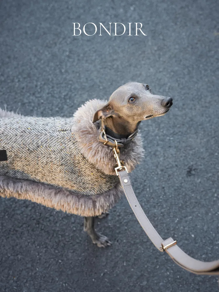 BONDIR Alpaca Wool Matching Cape (Dog)