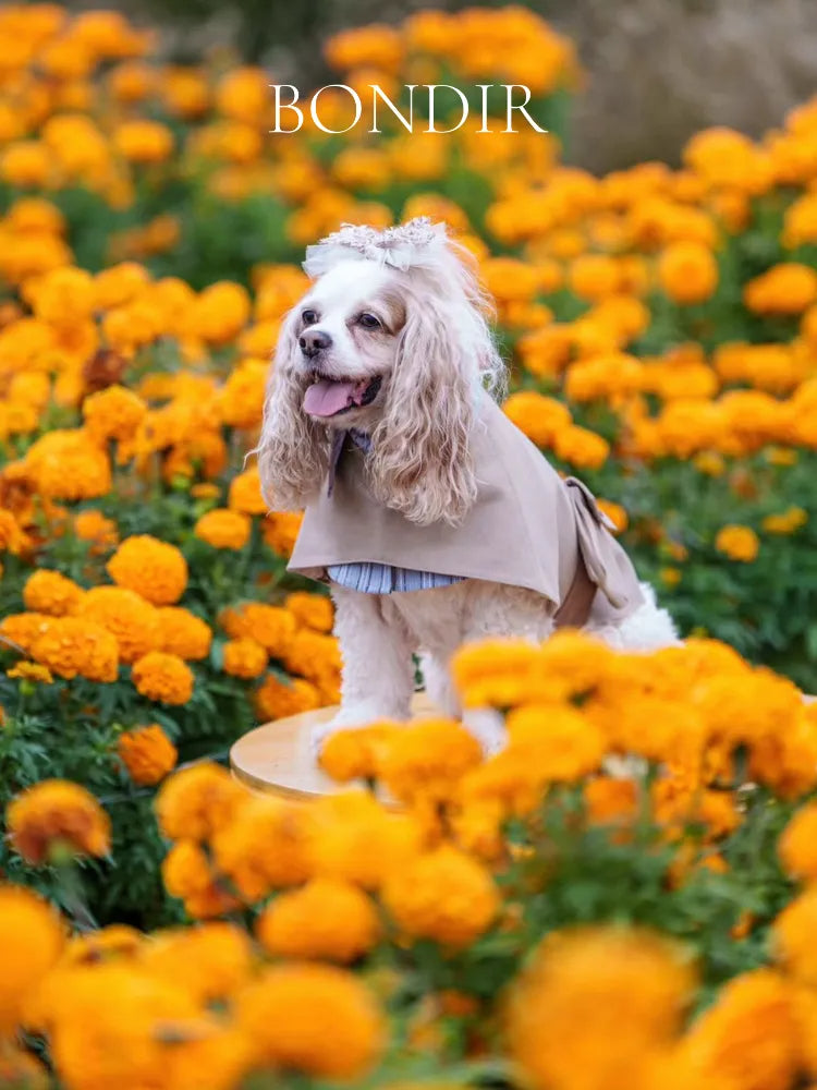 BONDIR Two-Piece Look Pet Trench Coat