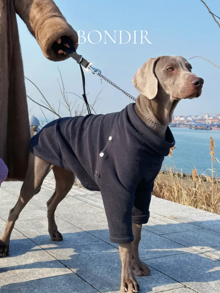 BONDIR Odyssey Blue Pet Jumpsuit（Pet）