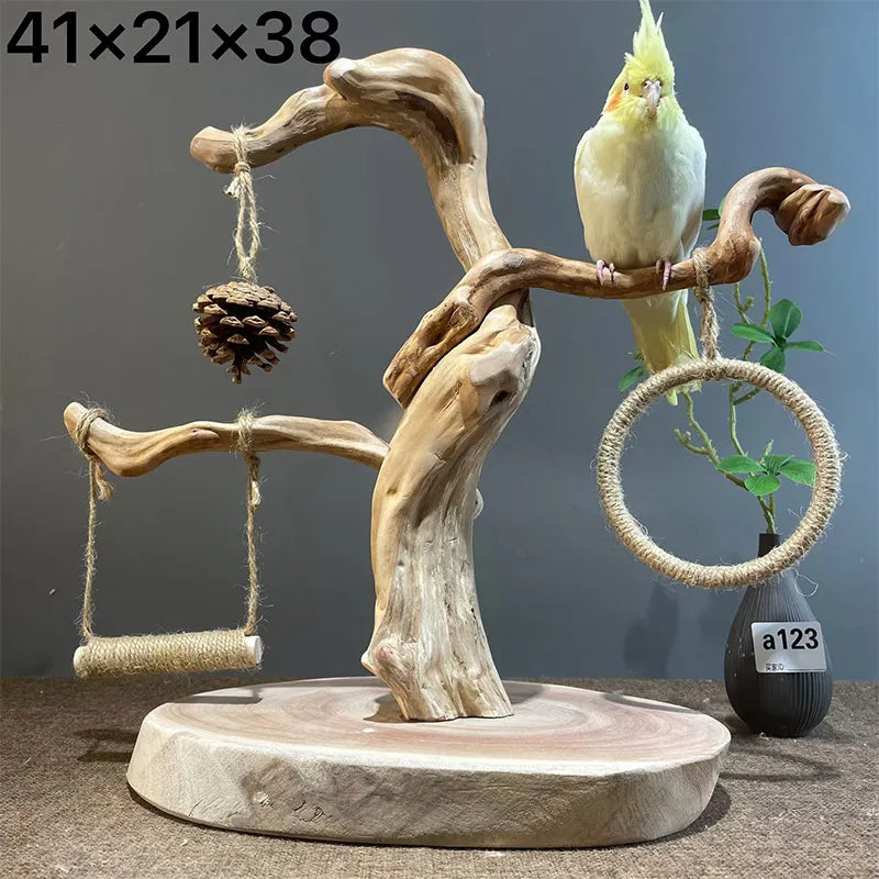 Wild Fun Bird Play Gym & Activity Center