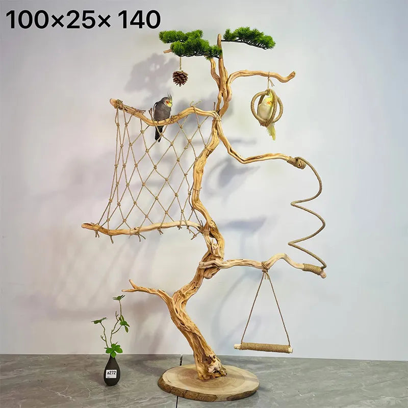 Wild Fun Bird Play Gym & Activity Center