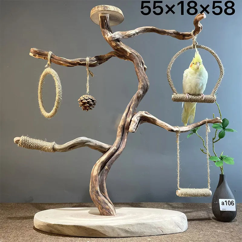 Wild Fun Bird Play Gym & Activity Center