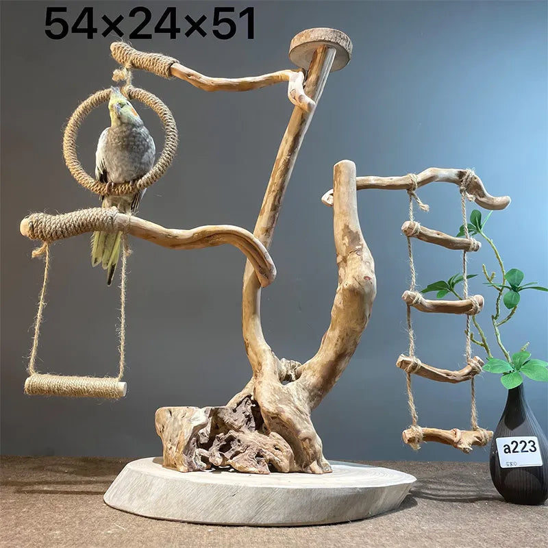 Wild Fun Bird Play Gym & Activity Center