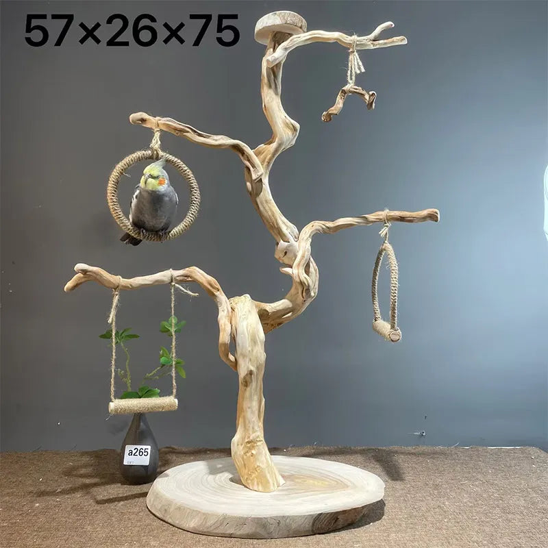 Wild Fun Bird Play Gym & Activity Center