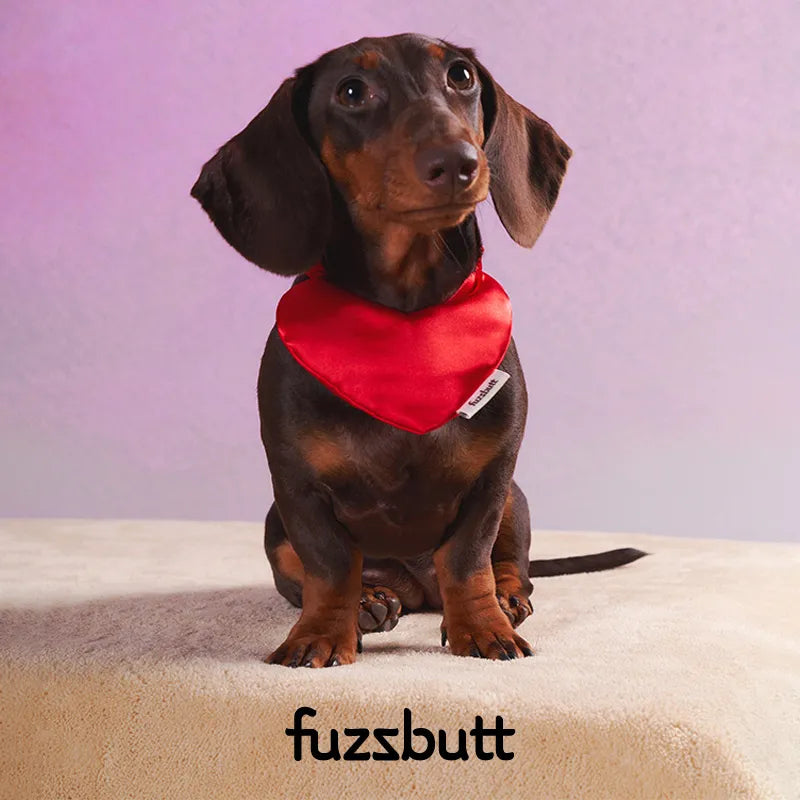 Fuzzbutt Satin Heart-Shaped Padded Bib