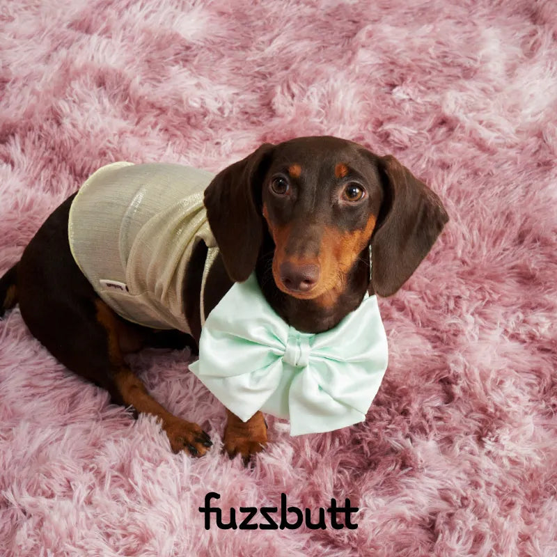 Fuzzbutt Satin French Bow Pet Bib