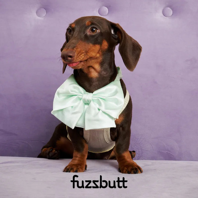 Fuzzbutt Satin French Bow Pet Bib