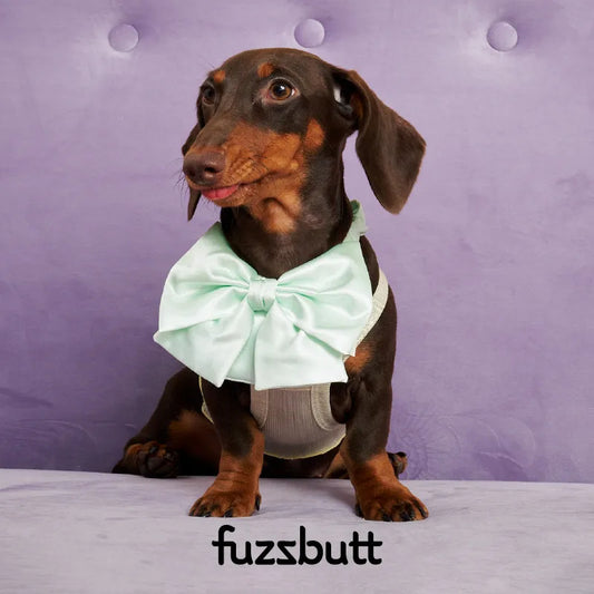 Fuzzbutt Satin French Bow Pet Bib