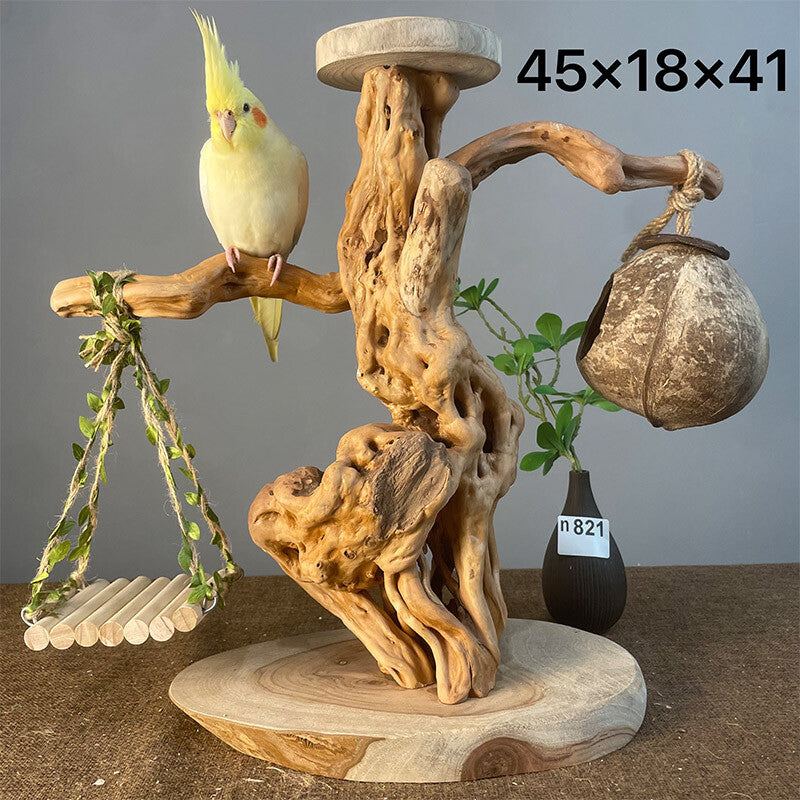 Wild Fun Bird Play Gym & Activity Center