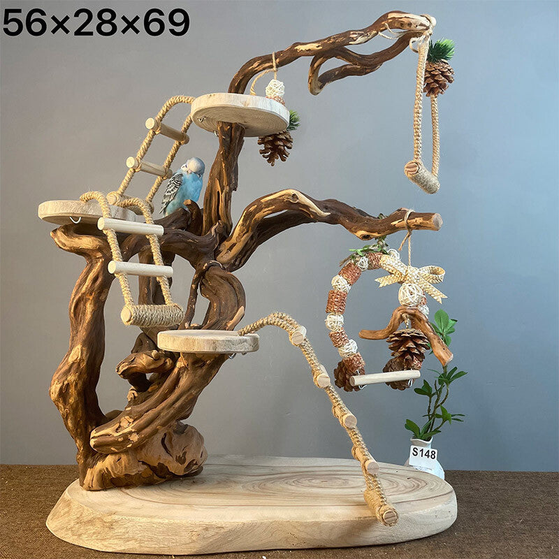 Wild Fun Bird Play Gym & Activity Center