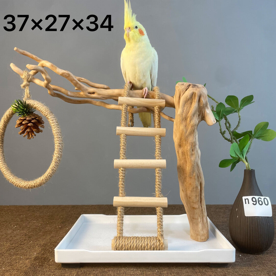 Wild Fun Bird Play Gym & Activity Center