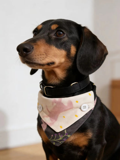 Reversible Detachable Four-Way Dog Bandana Bib
